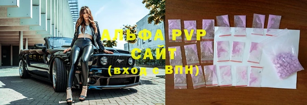гидра Михайловск