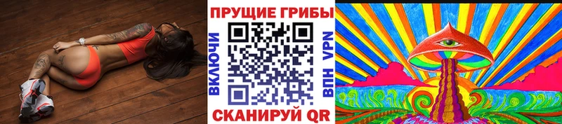 Псилоцибиновые грибы прущие грибы Билибино