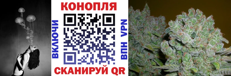Конопля сатива где продают Билибино